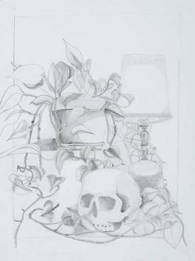 Philodendron's and Skull